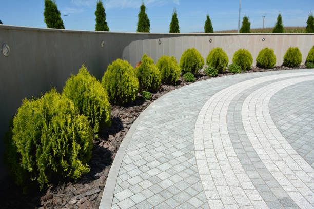 Best Affordable Driveway Paving  in Salida, CA